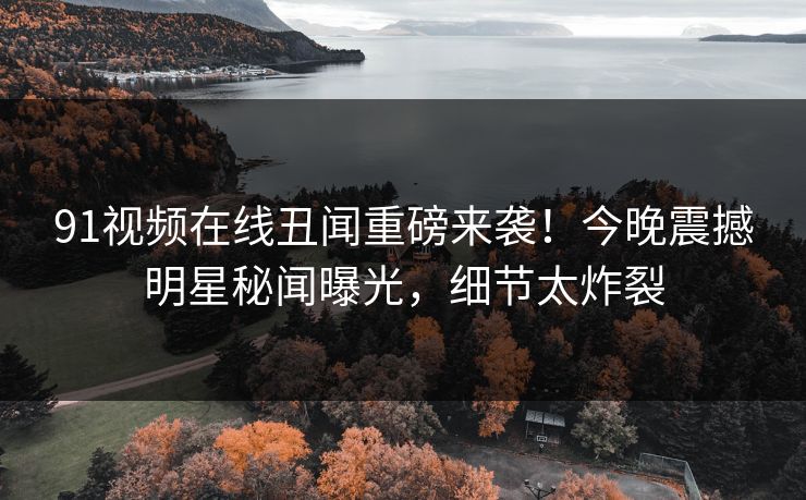 91视频在线丑闻重磅来袭！今晚震撼明星秘闻曝光，细节太炸裂