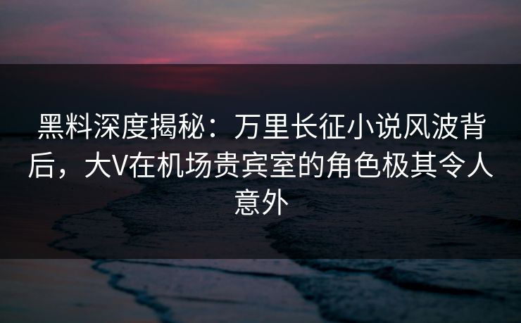 黑料深度揭秘：万里长征小说风波背后，大V在机场贵宾室的角色极其令人意外