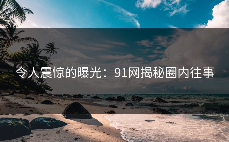 令人震惊的曝光：91网揭秘圈内往事