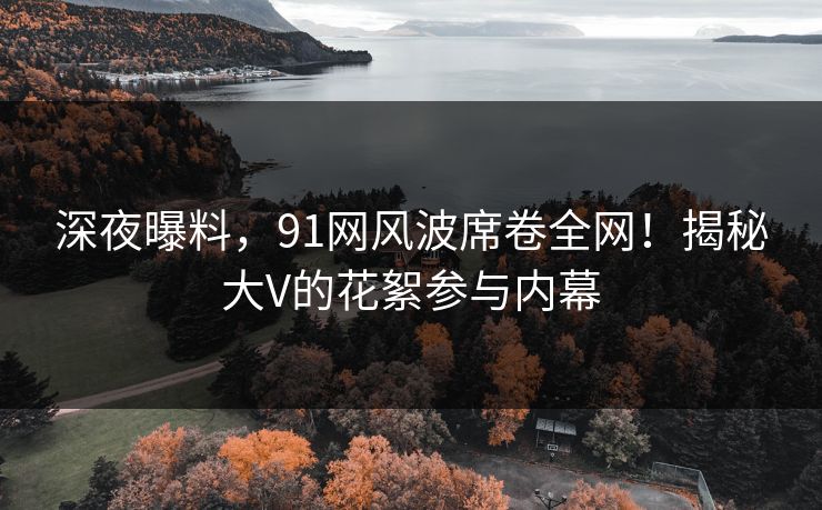 深夜曝料，91网风波席卷全网！揭秘大V的花絮参与内幕  第1张