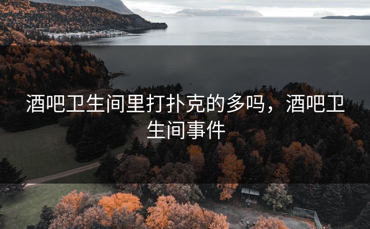 酒吧卫生间里打扑克的多吗,酒吧卫生间事件